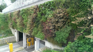 Vertikalbewässerung