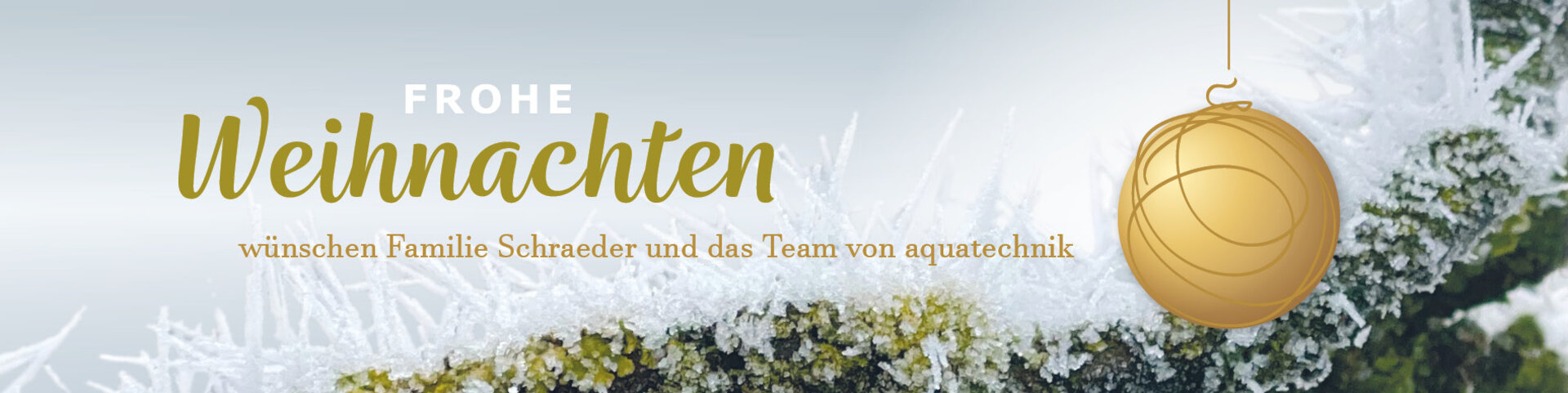 AQ_Homepage_Weihnachten_1898x475px_72dpi_25-12